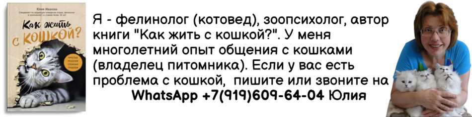 Как предотвратить аллергию на кота Лысова у ребенка?