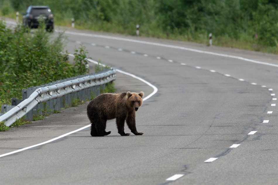 Боязнь людей