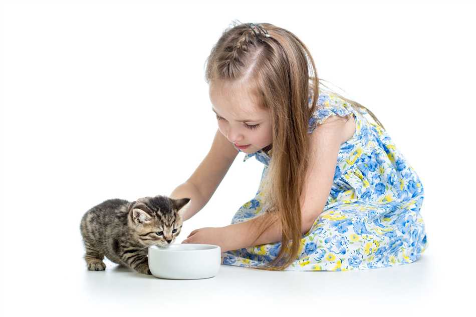 Кормление котенка молоком: плюсы и минусы