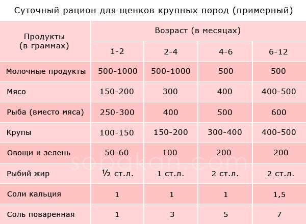 Правильное питание для щенка