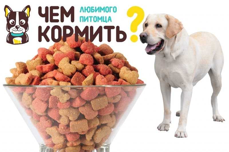 Молочные продукты