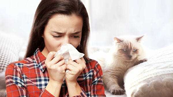 Воздействие аллергии на дыхательную систему