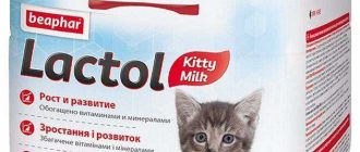 Чем заменить молоко кошки для котят в домашних условиях?