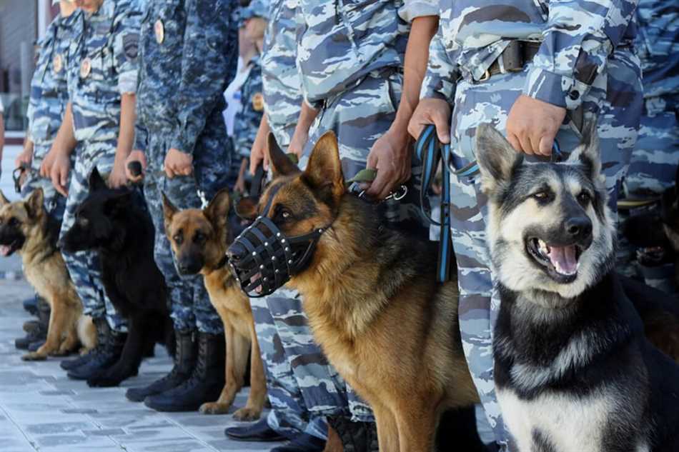 Основы социализации