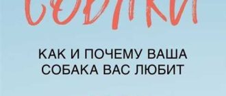 Через сколько дней душа собаки находит покой?