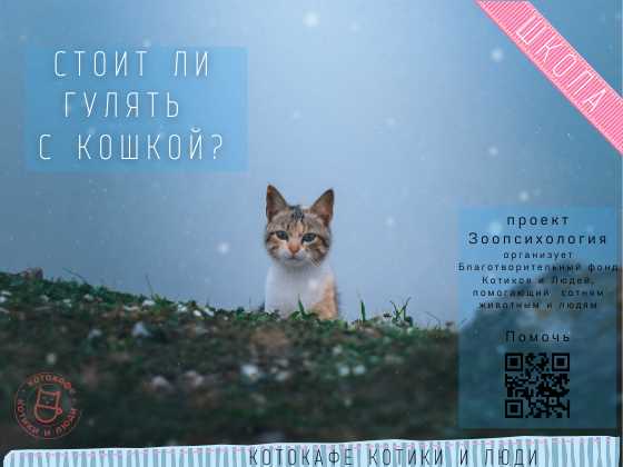 Что будет с кошкой если она не будет гуляться?