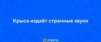 Что если крыса издает странные звуки?