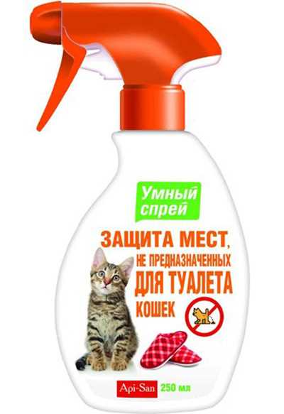 Что не любят коты?