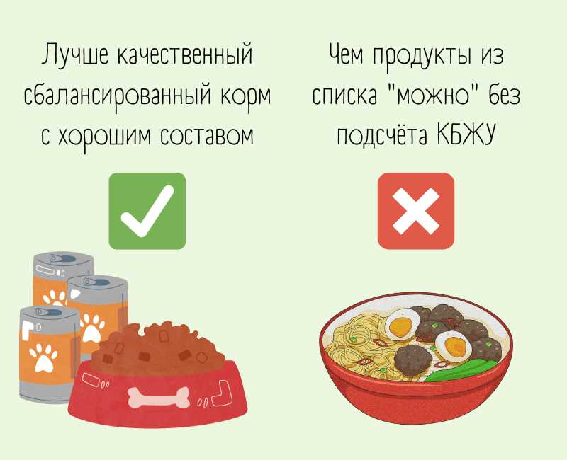 Шоколад и другие продукты с кофеином