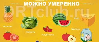 Что нельзя есть йоркам список продуктов?