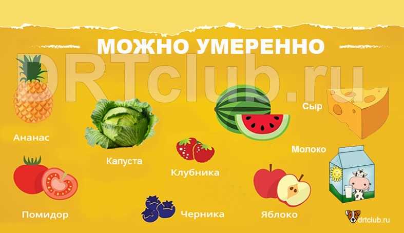 Что нельзя есть йоркам список продуктов?