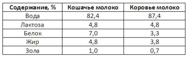 Что нужно давать кошке есть чтобы вырабатывалось кошачье молоко?