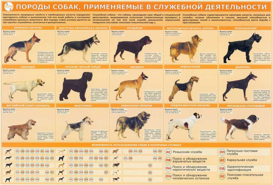 4. Потребности в уходе: