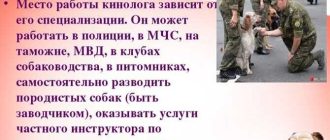 Что нужно знать на кинолога?