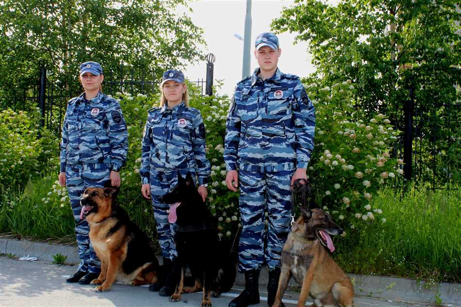 Отличие кинолога от других специалистов по собакам