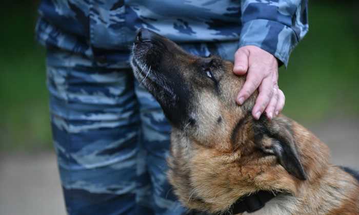 1. Образование и курсы