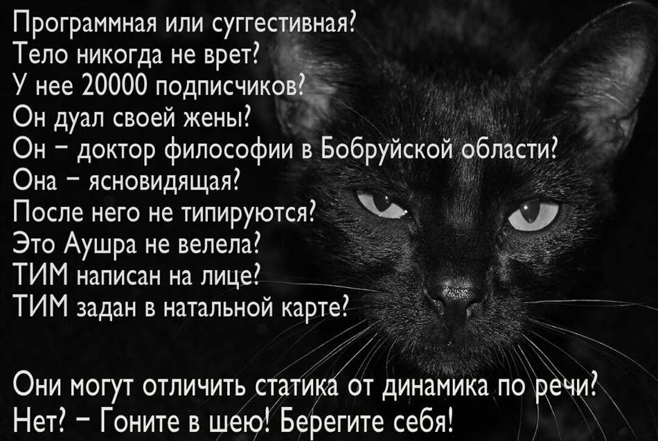 Загадка черной кошки