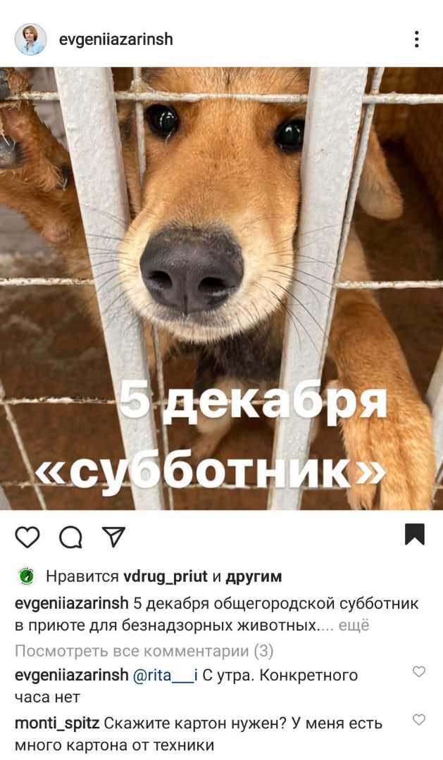 Что означает хозяин и собаку на улицу не выгонит?