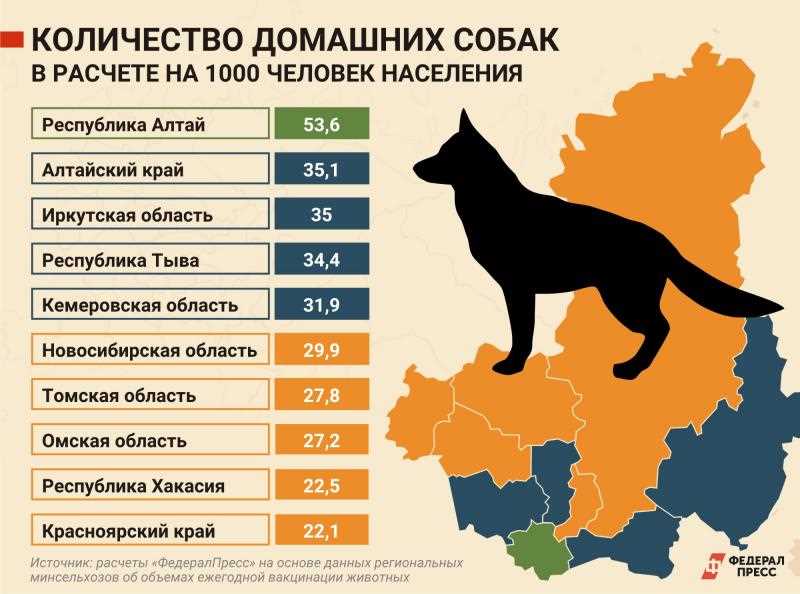 Прогулки и исследования