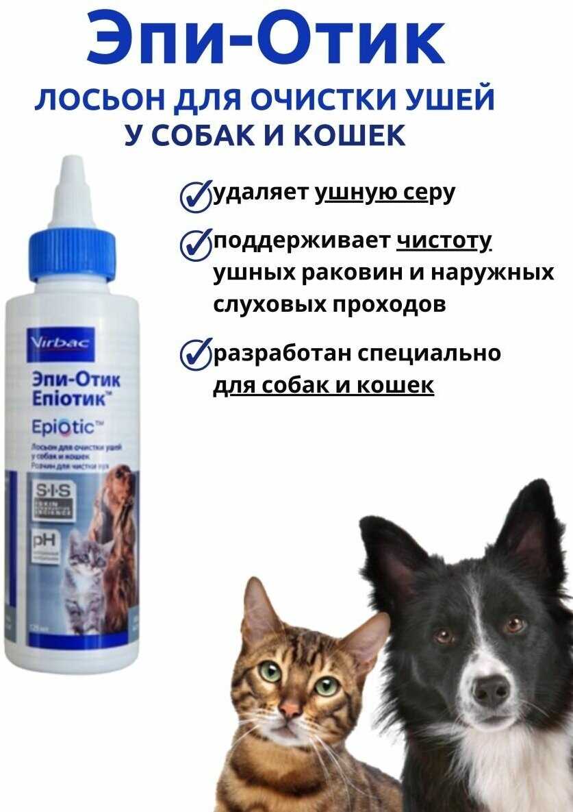 Что такое epi у кошек?