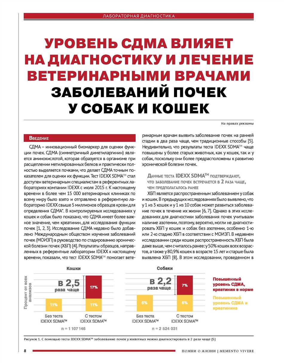 Лечение и профилактика SDMA у кошек