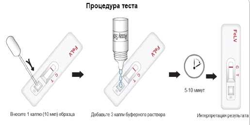 Что такое хви у кошек?