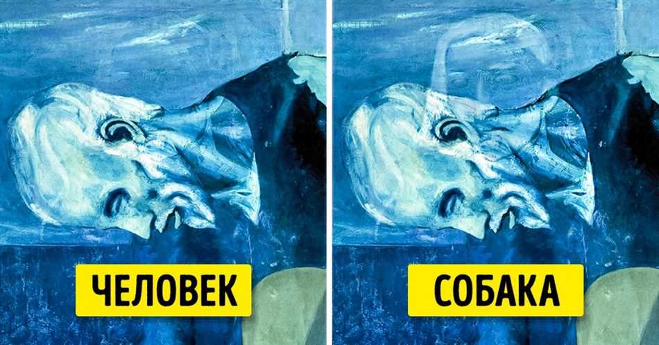 Что видят собаки?