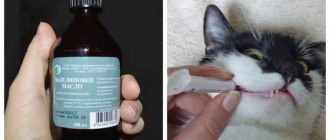 Для чего кошке вазелиновое масло?