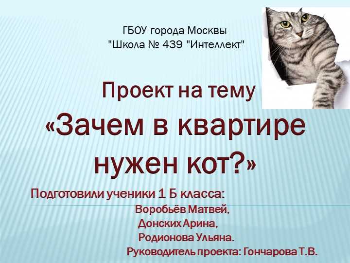 Для чего нужны коты?