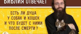 Наука о душе у животных: есть ли она или это всего лишь миф?