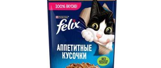 Феликс - описание породы, вопросы про Феликсов.