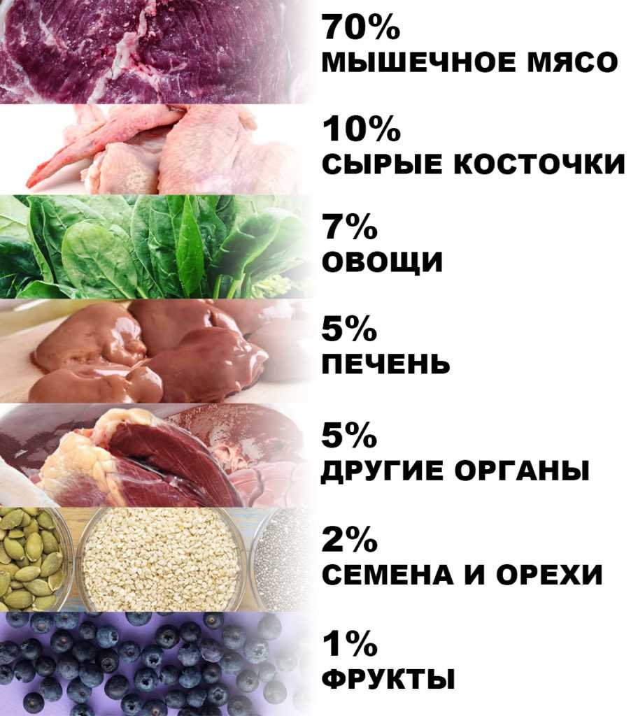 Молочные продукты для кальция и белка