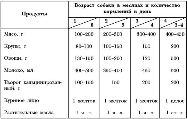 Как часто кормить щенка 1 5 месяца немецкой овчарки?