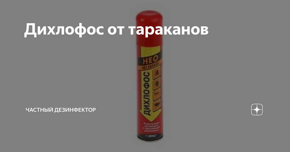 Как использовать дихлофос для борьбы с тараканами?