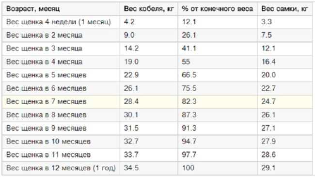 Как должен набирать вес щенок немецкой овчарки?