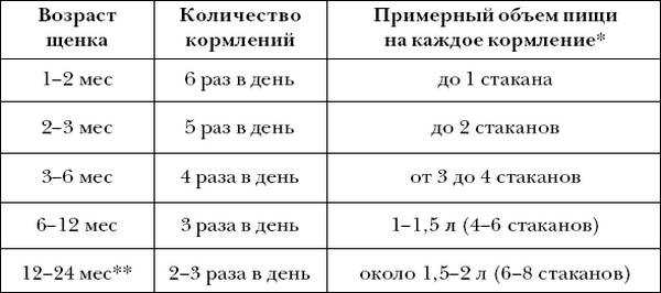 Суточная норма пищи для щенка 3 месяца