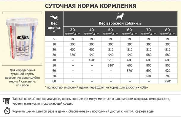 Как выбрать сухой корм для щенка 3 месяца?