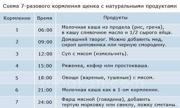 Как кормить щенка натуралкой в 2 месяца?