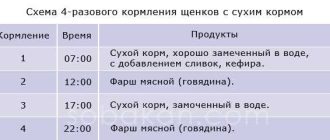 Как кормить щенка в 3 месяца?