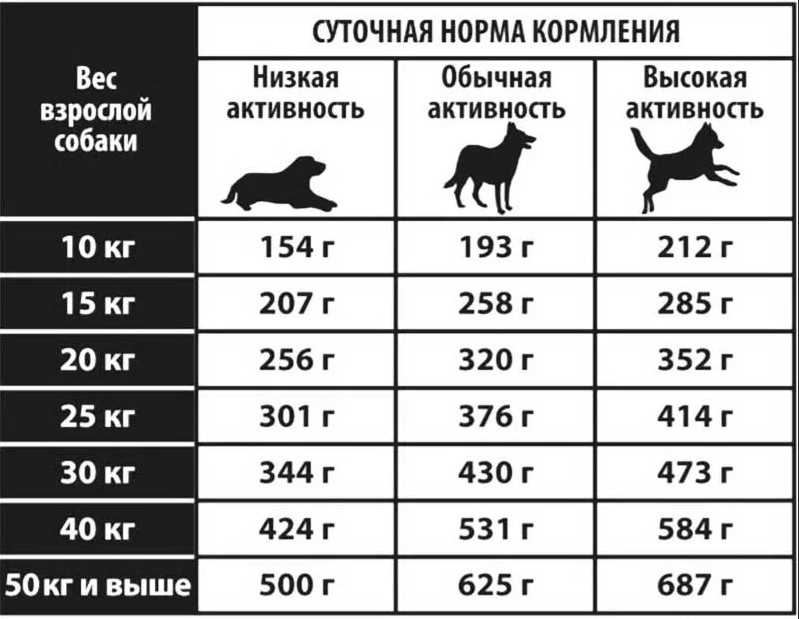 Питательность и баланс в рационе собаки