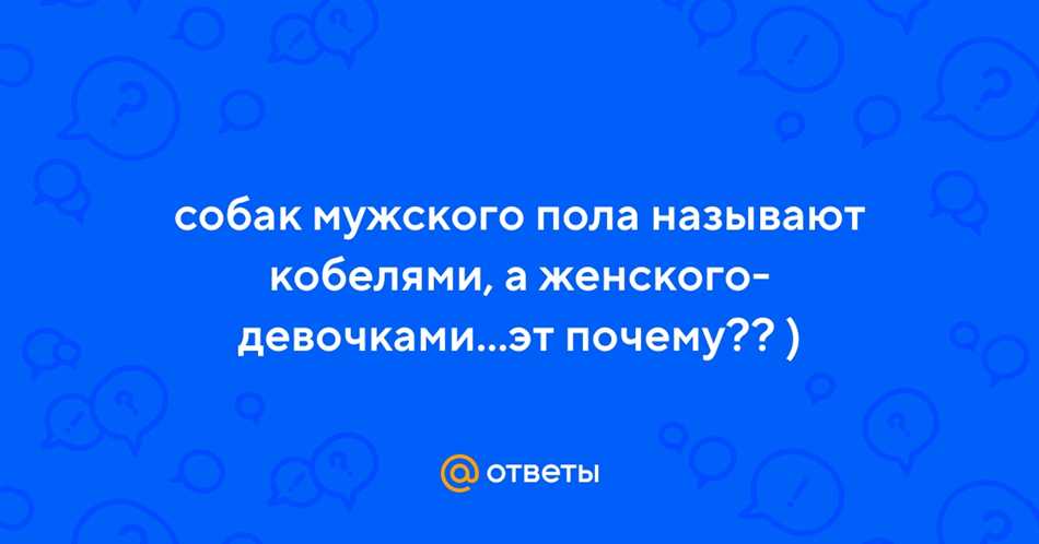 Типичные имена для мужских собак