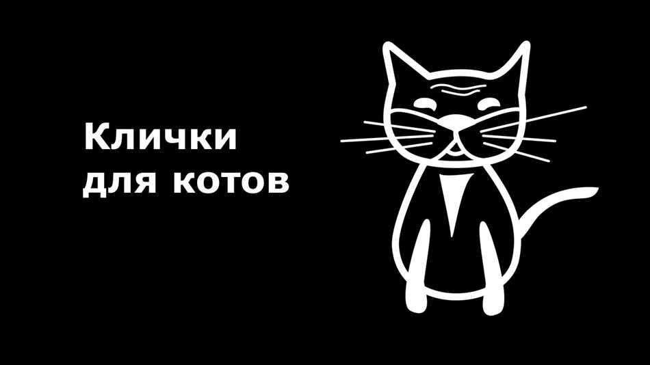 Почему стоит выбрать русское имя для котёнка мальчика