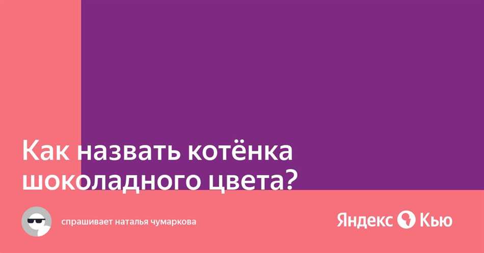 Как выбрать имя для шоколадного котенка мальчика?