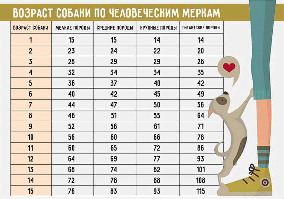 Формула, основанная на возрасте и размере собаки