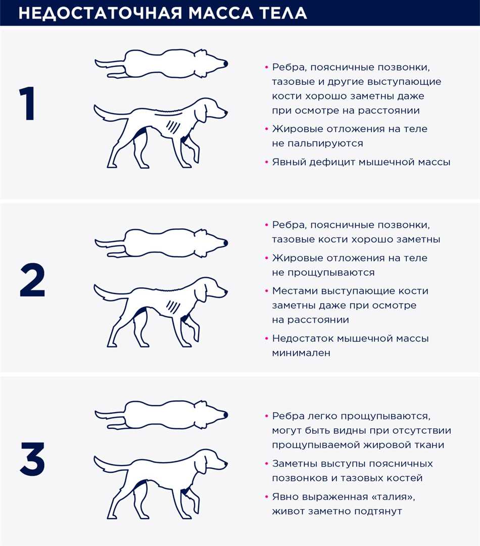 Обратите внимание на поведение