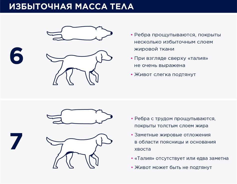 3. Измерьте вес групповым способом