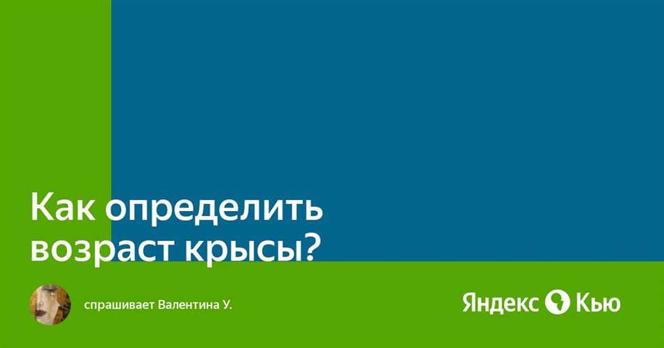 Особенности шерсти у крыс в зависимости от возраста