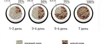 Как перевести собаку на 2 разовое питание?