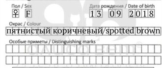 Как писать окрас в паспорте окрас кошки?