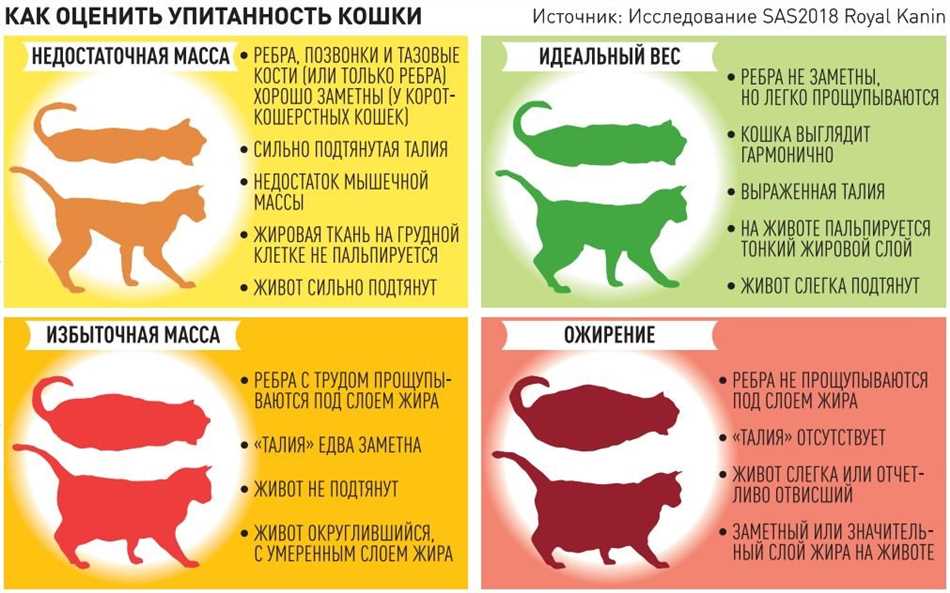 3. Использование весов